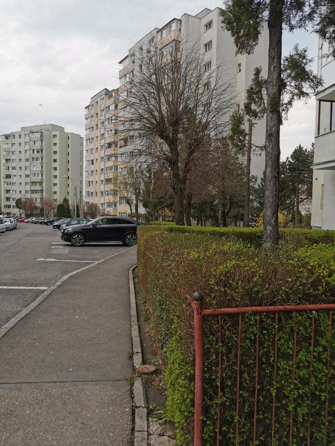 Apartament Maysa Клуж-Напока Экстерьер фото