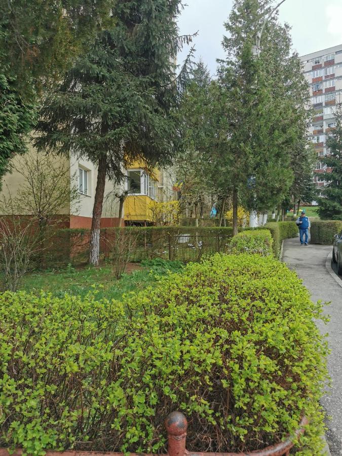 Apartament Maysa Клуж-Напока Экстерьер фото
