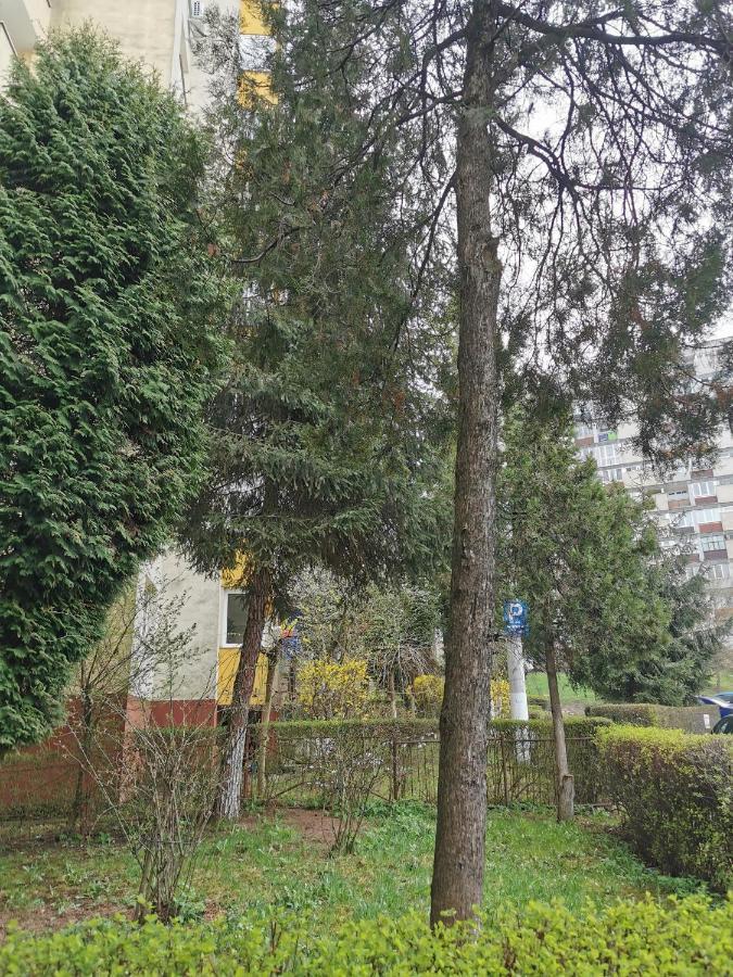Apartament Maysa Клуж-Напока Экстерьер фото